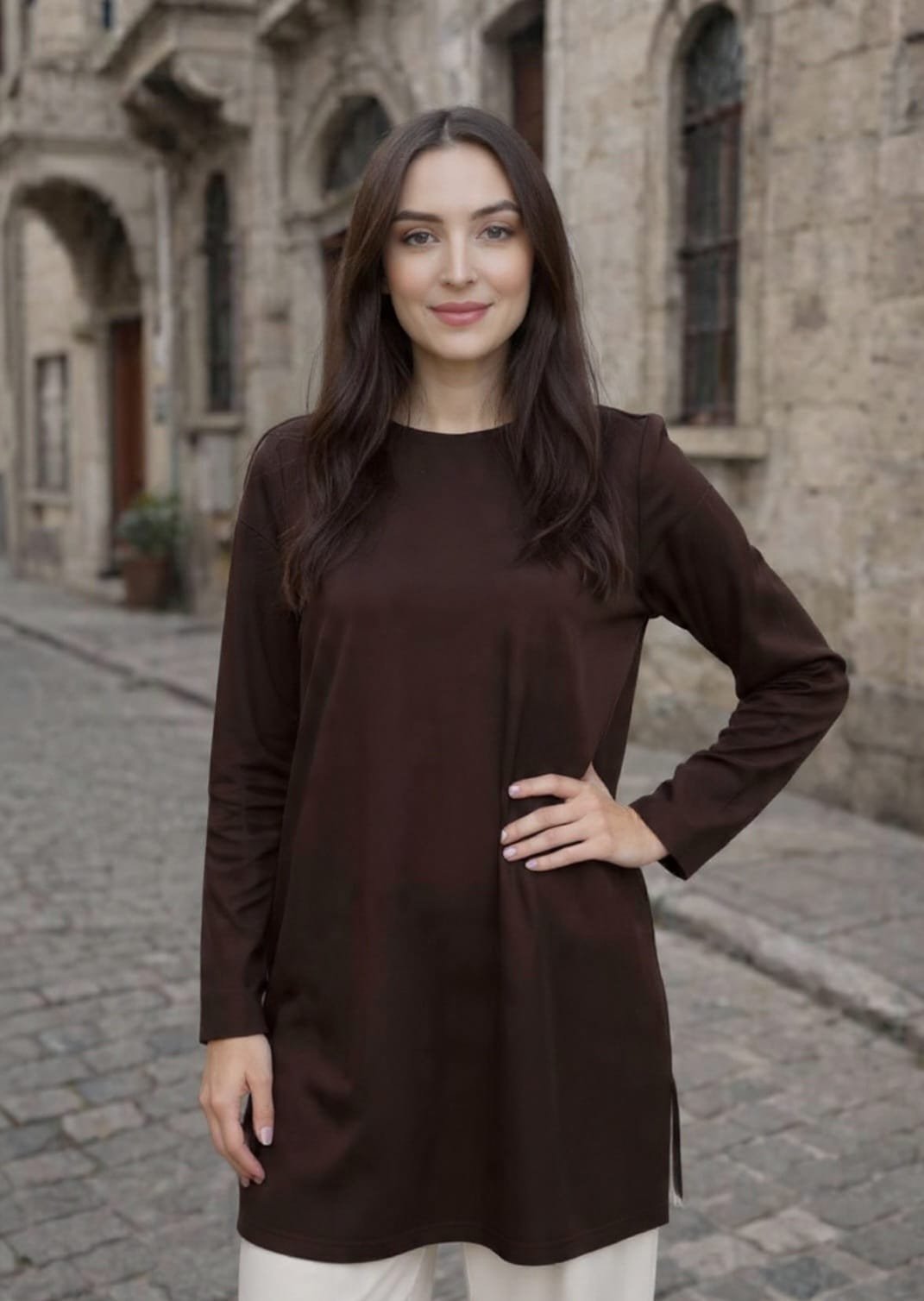 Luxe And Stitch Brown Top